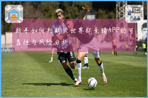 新手如何判断买世界杯竞猜APP的可靠性与风险分析