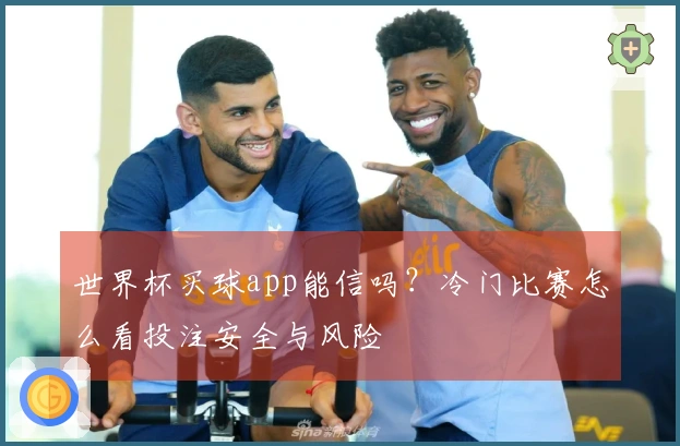 世界杯买球app能信吗？冷门比赛怎么看投注安全与风险