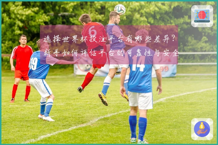 选择世界杯投注平台有哪些差异？新手如何评估平台的可靠性与安全性