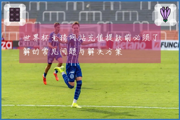 世界杯竞猜网站充值提款前必须了解的常见问题与解决方案